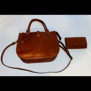 Fossil Fall Collection Set